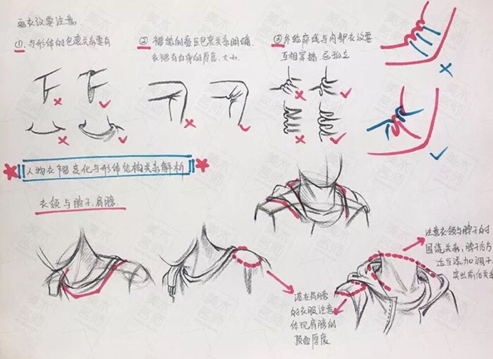 速写结构解析