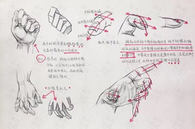 速写结构解析