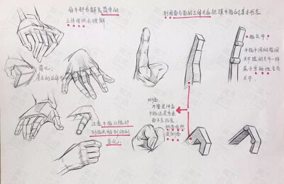 速写结构解析