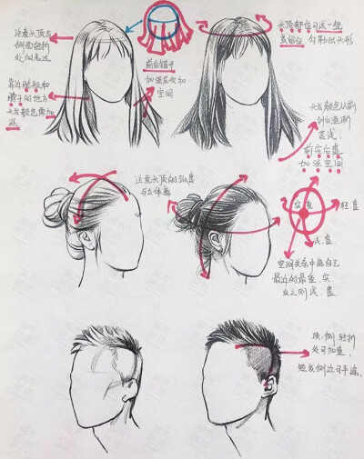 速写结构解析