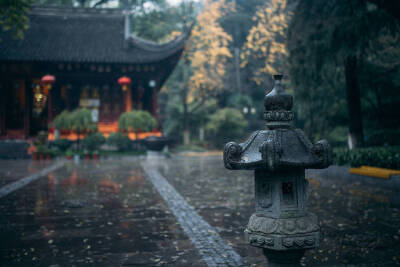 门虽设，常掩秋来春去过花尽落，曾是风吹雨打错人亦错，时光亦过... ​