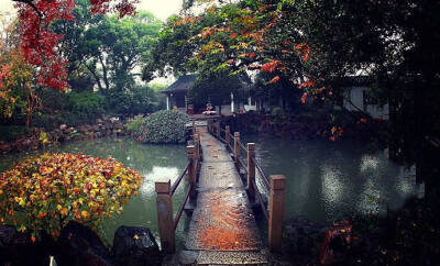 门虽设，常掩秋来春去过花尽落，曾是风吹雨打错人亦错，时光亦过... ​