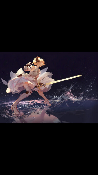 fate 吾王 saber lily