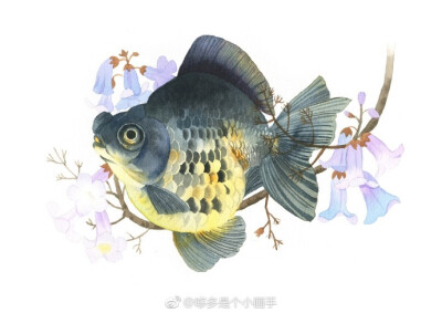 花间鱼-哆多_手绘,水彩_涂鸦王国插画