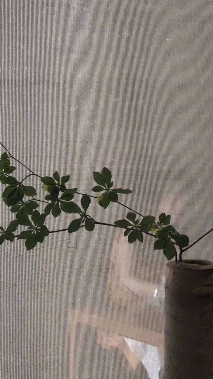 “能想通 能理解 但还是难过 “ ​​​