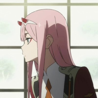 DARLING in the FRANXX 002*016 情头
自截