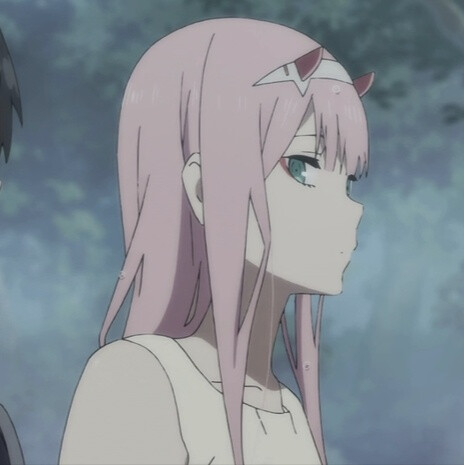 DARLING in the FRANXX 002*016 情头
自截