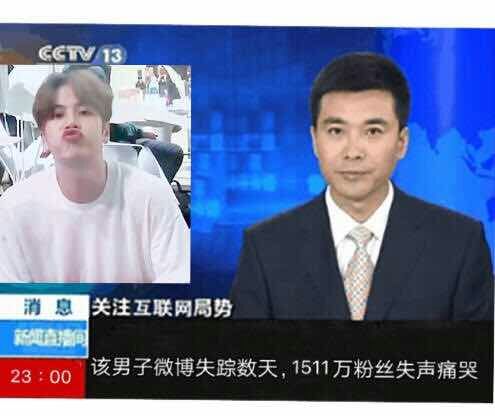 嘉鹅