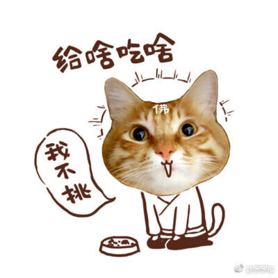 佛系的主子，不想来一个么～ #我是猫奴我自豪# [喵喵] ​​​