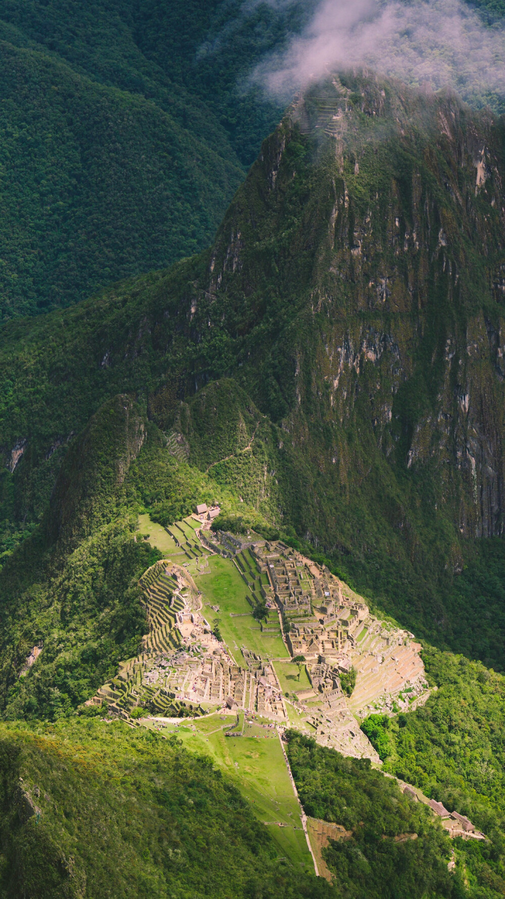 风景