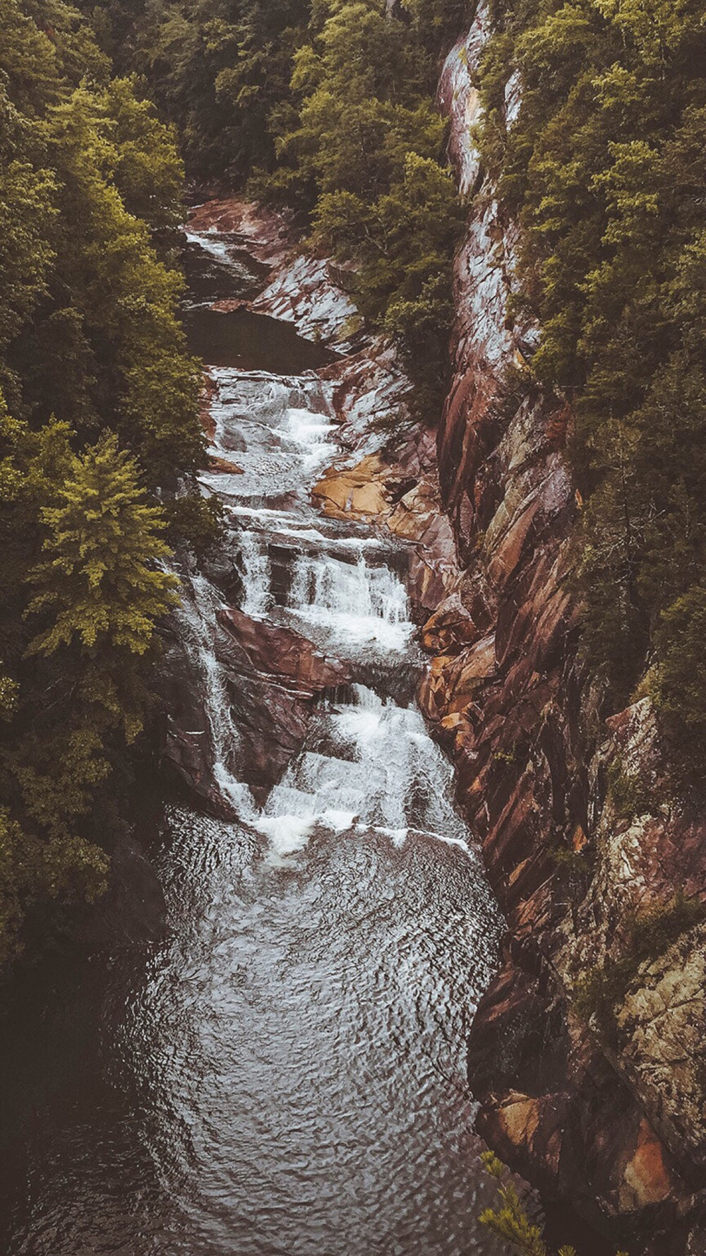 风景