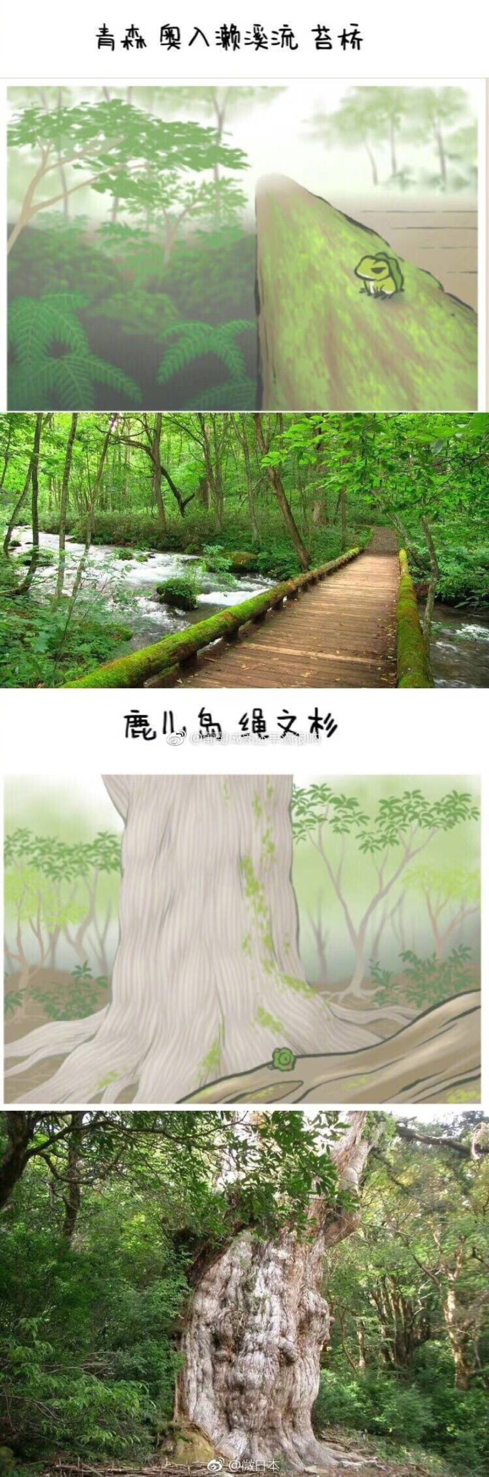 「 旅かえる 」景点实景。原po见水印。