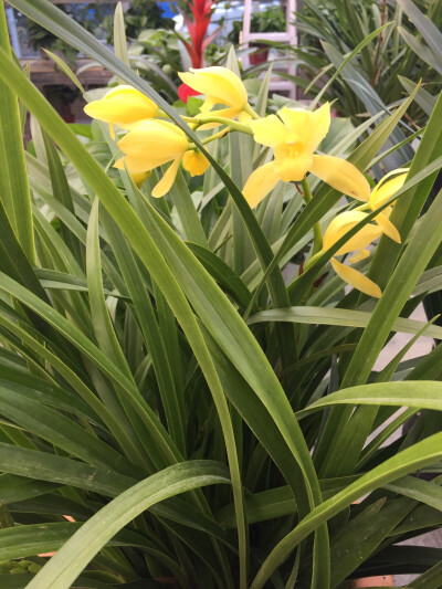 只需拈花一笑休闲处，万千心事落地成灰。 ​​​