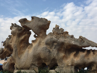 只需拈花一笑休闲处，万千心事落地成灰。 ​​​