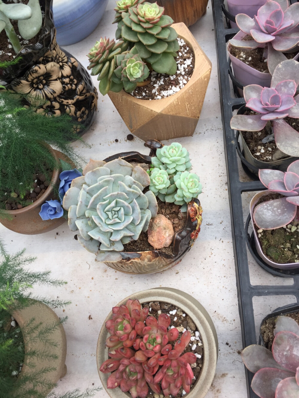 只需拈花一笑休闲处，万千心事落地成灰。 ​​​