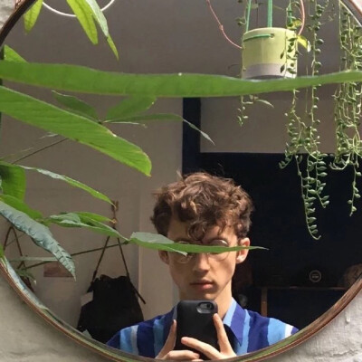 troye sivan
