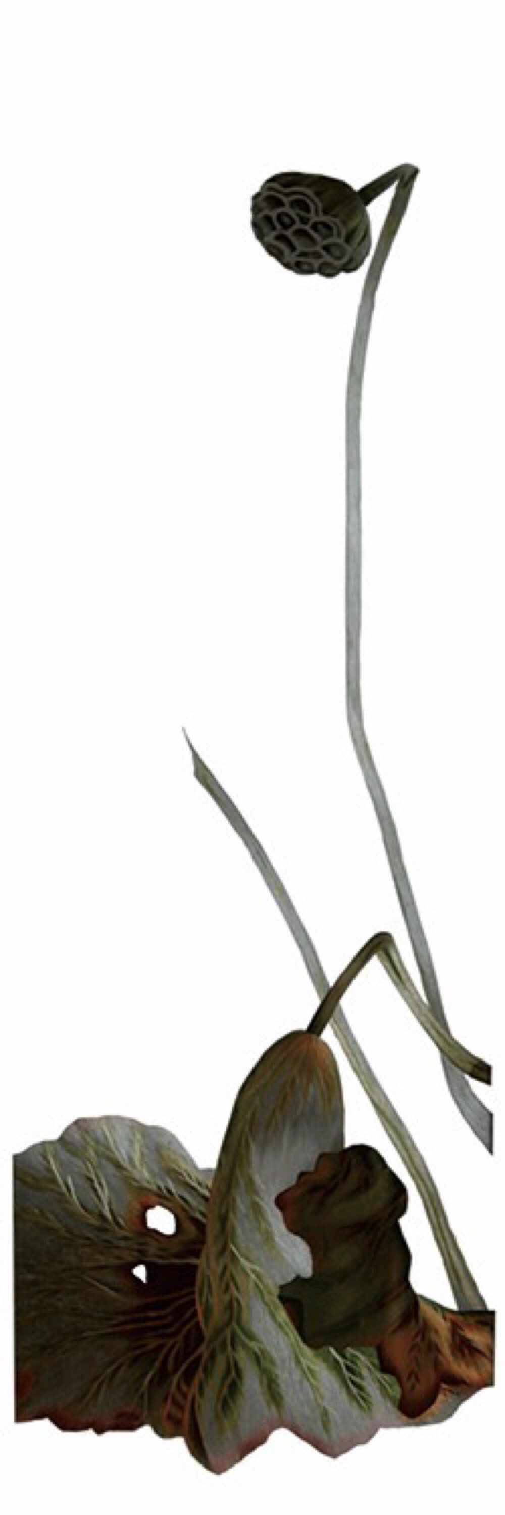 苏绣纸样
