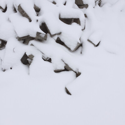 你的城市从不下雪？