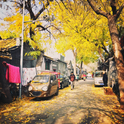秋日最美的北京