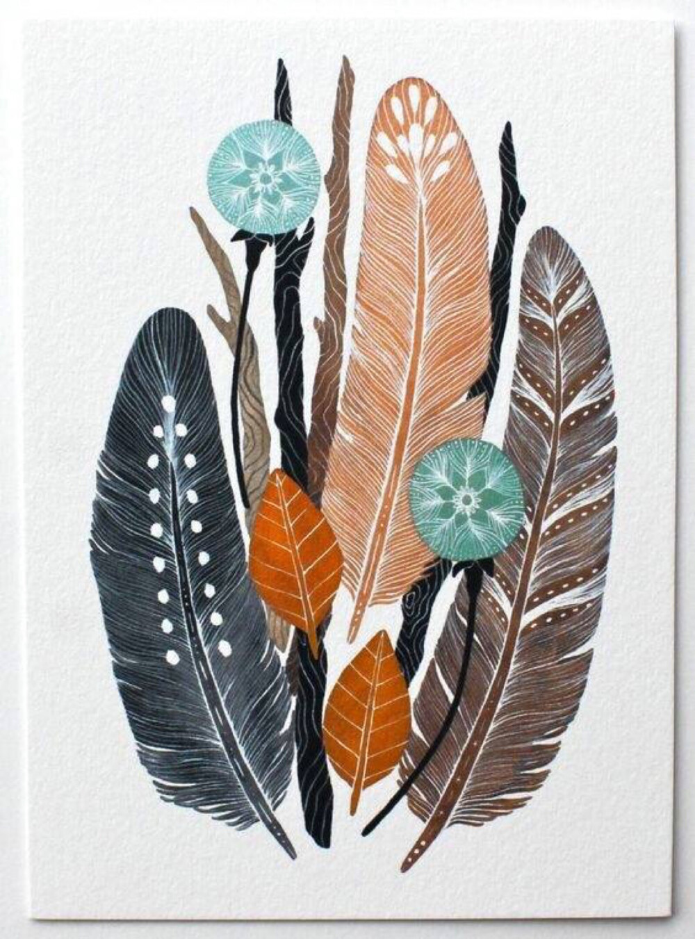 彩绘羽毛插画素材