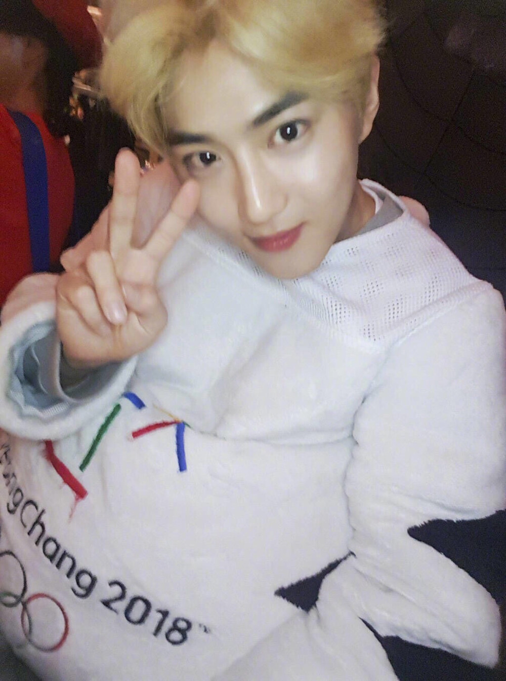 exo金俊勉suho