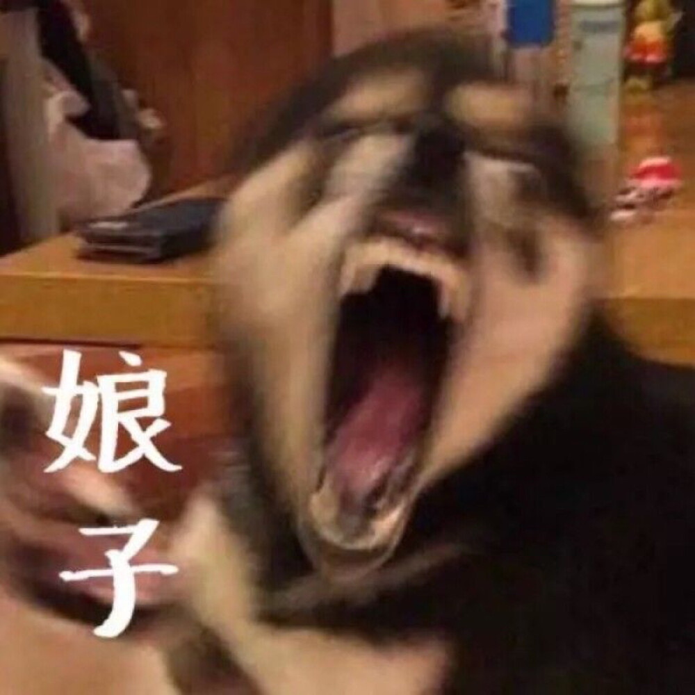 情头 伊琳