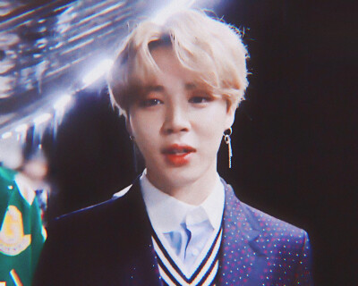 ✨JIMIN ✨
是富人区王子朴智旻没错了◟(.öˬö.)◞