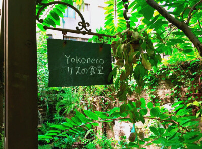 yokoneco / #臺中美食推薦##臺中旅行##臺中##臺中美食# ???