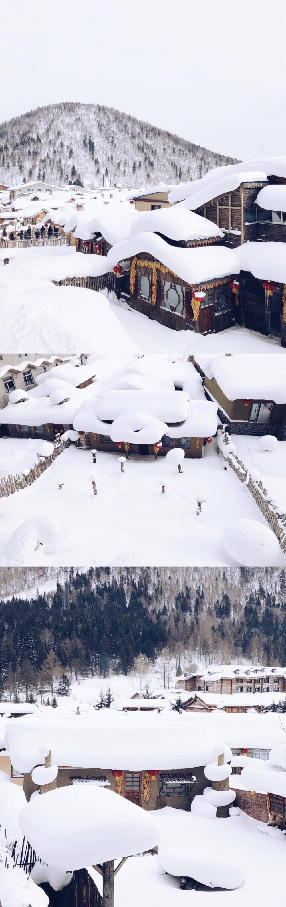 喜欢的雪地
喜欢的风景