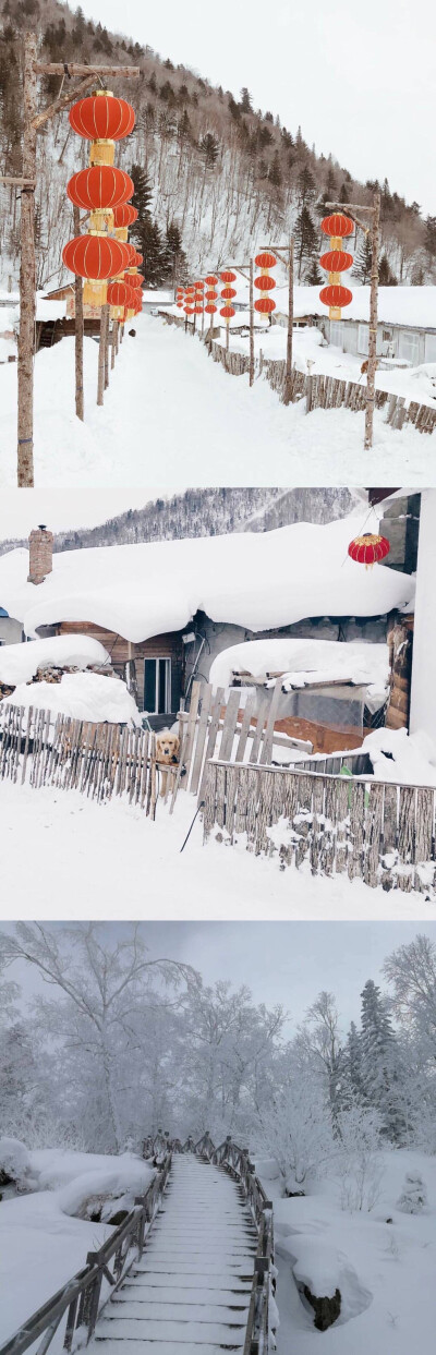 喜欢的雪地
喜欢的风景