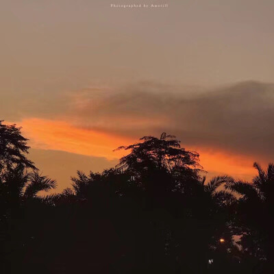 背景图/黄昏
你知道 当一个人情緒低落的時候
他会格外喜歡看日落 /
“那一天 我看了四十四次日落”