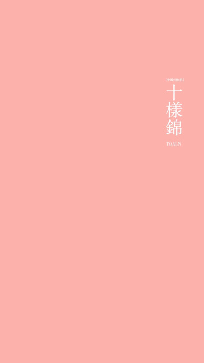 壁纸♡