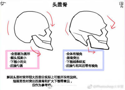 图源来自网络