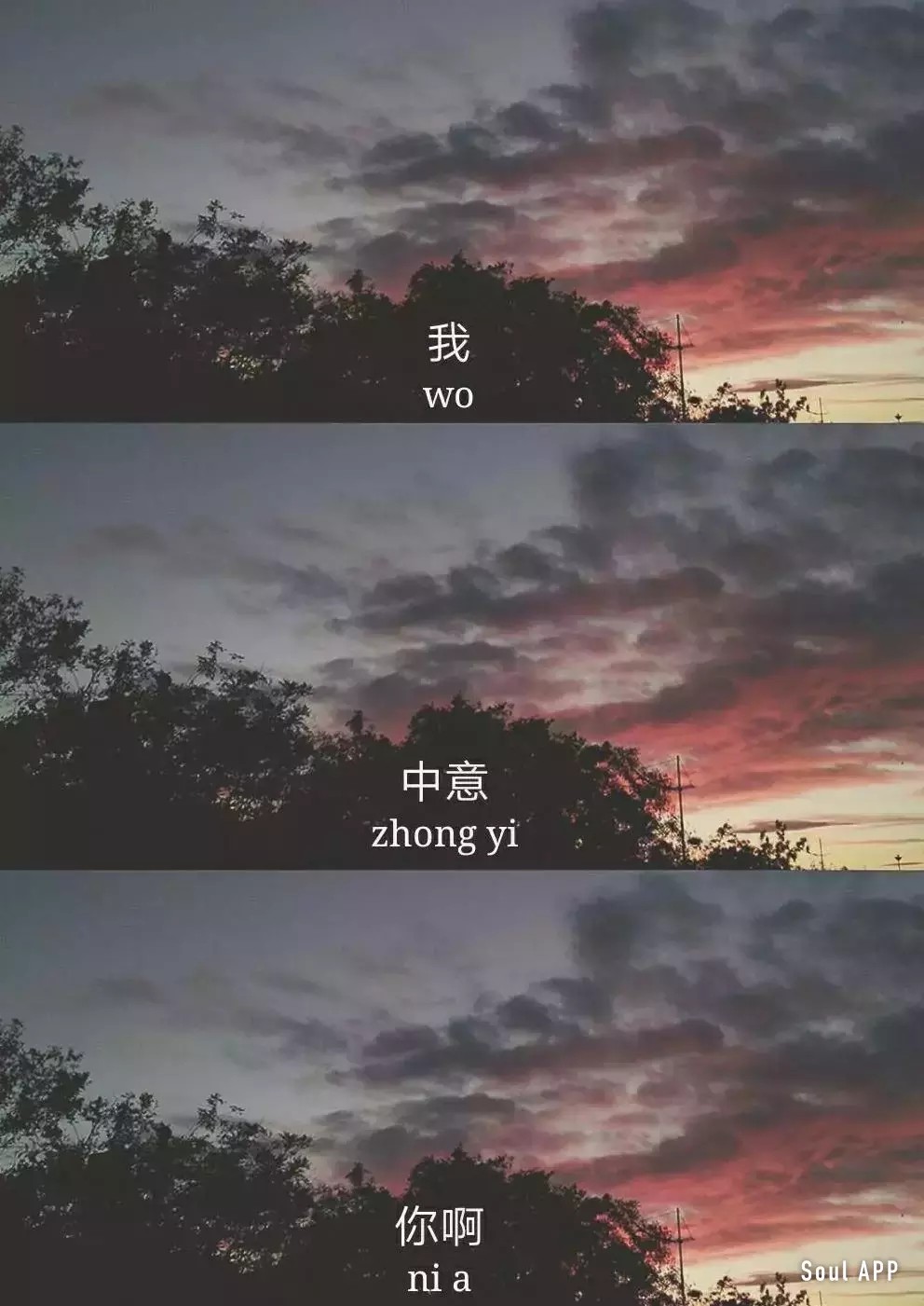 我中意你. - 高清图片,堆糖,美图壁纸兴趣社区