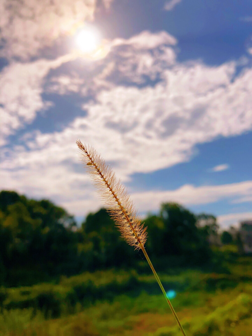 秋日阳光