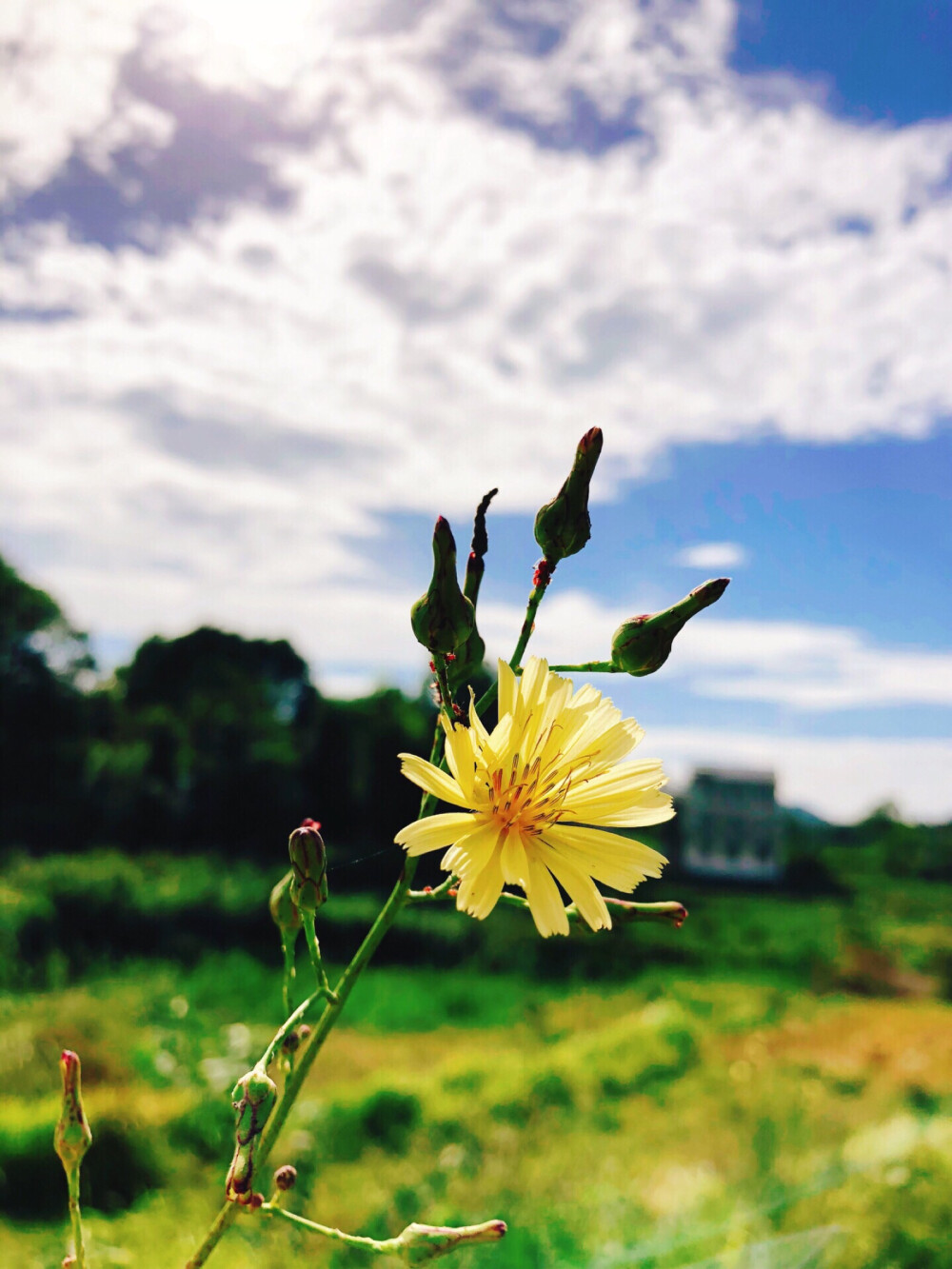 秋日阳光