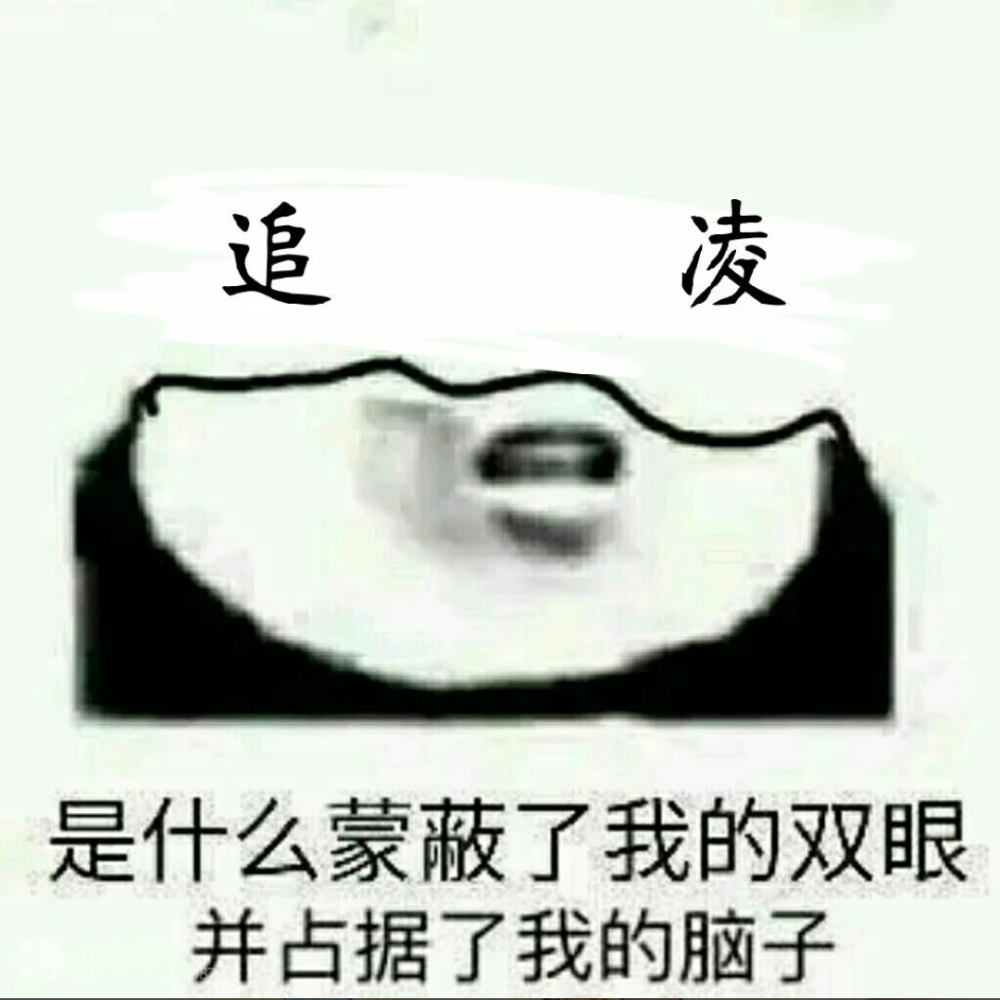 追凌
蓝思追
金凌