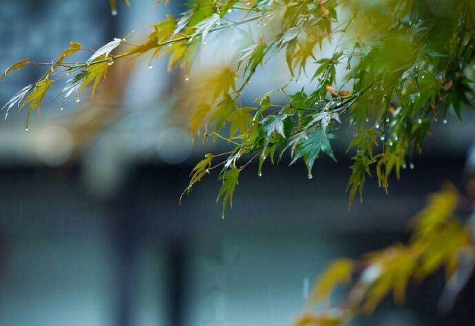 一雨已秋深，月色寒而静。夜半披衣草树间，玉露团清影。 长笛倚楼声，听彻还重省。手启柴门倦复关，云卧衣裳冷。--------------《卜算子》韩淲 ?