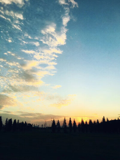 午后.云 光
(家门口发现一片古树保护区)