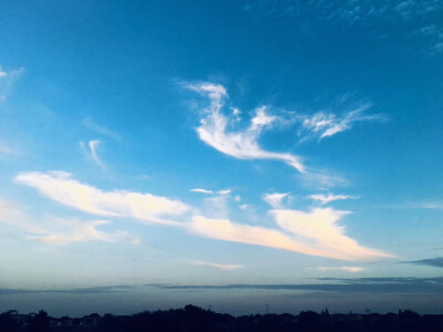 午后.云 光
(家门口发现一片古树保护区)