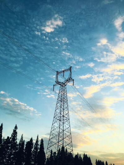 午后.云 光
(家门口发现一片古树保护区)