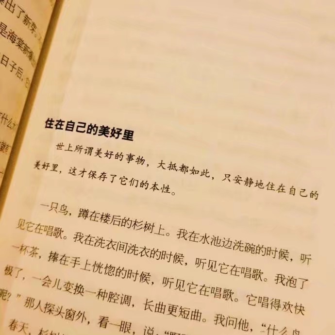 背景 原创——白芨
