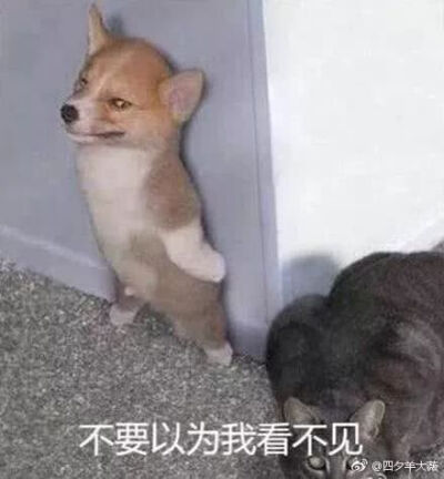 搞笑头像(~￣△￣)~