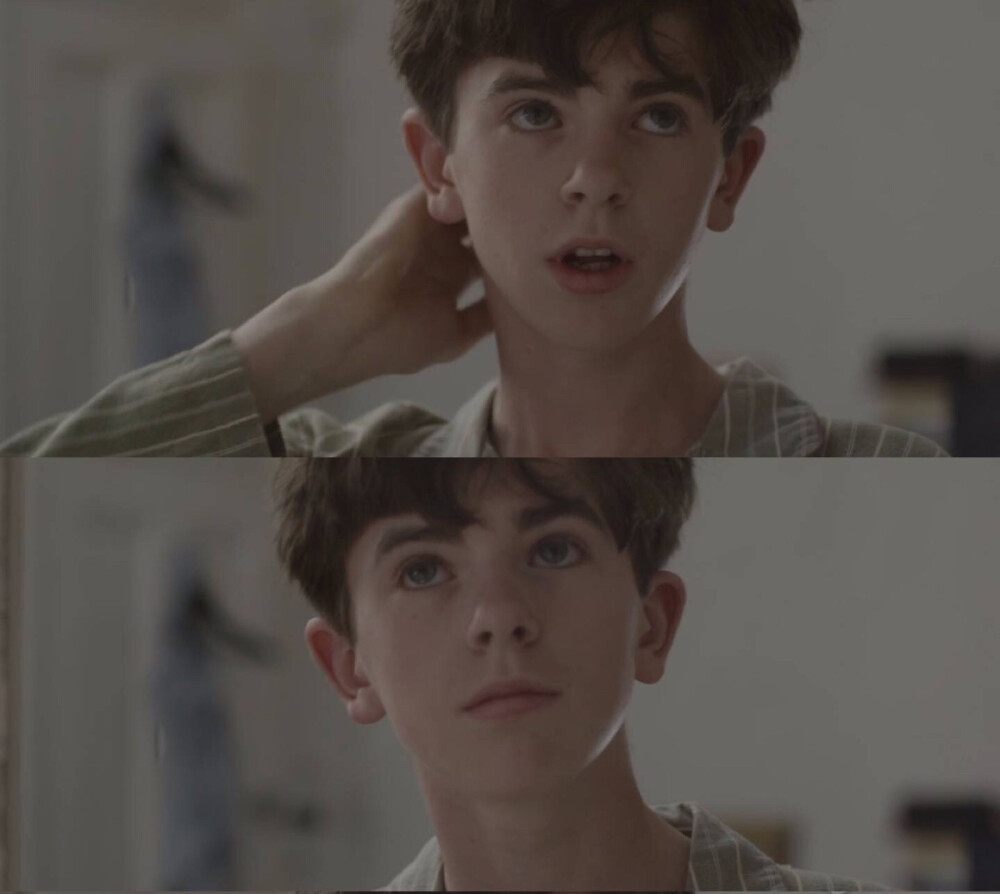 盛世美颜（Freddie Highmore