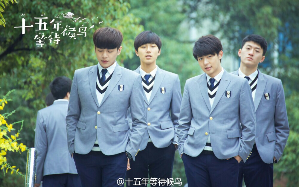 十五年等待候鸟
