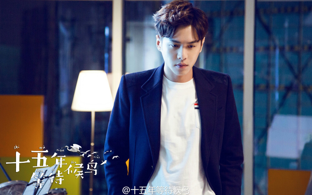 十五年等待候鸟