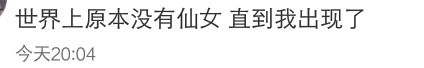 世界上原本没有仙女 直到我出现了