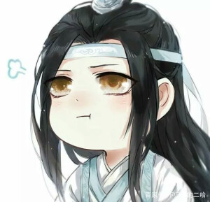 魔道祖师# 蓝忘机#