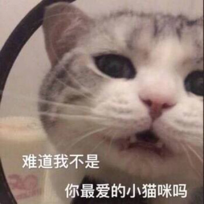 接下来就比较沙雕了