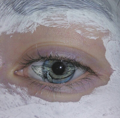 你眼里的浩瀚星辰